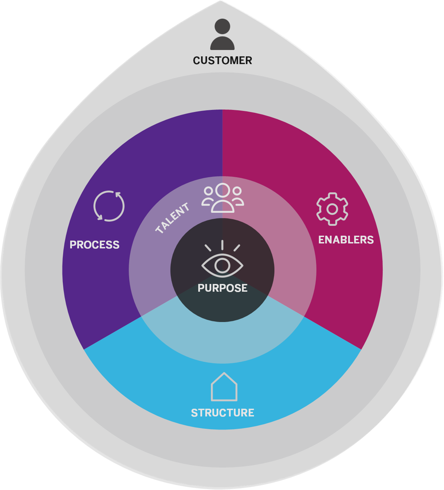 Organisation diagram
